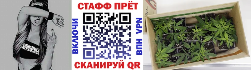 Канабис Никольское