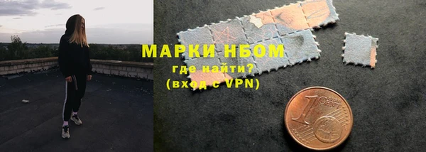 прущие грибы Краснотурьинск