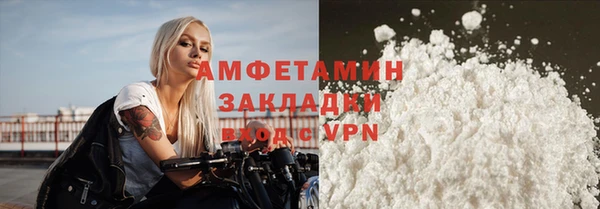 прущие грибы Краснотурьинск