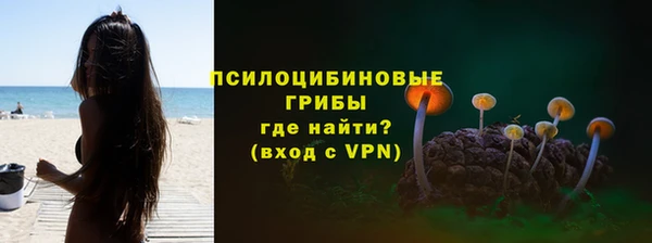 прущие грибы Краснотурьинск