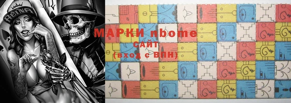прущие грибы Краснотурьинск