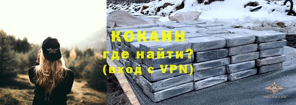 прущие грибы Краснотурьинск