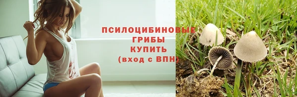 прущие грибы Краснотурьинск