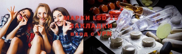 прущие грибы Краснотурьинск