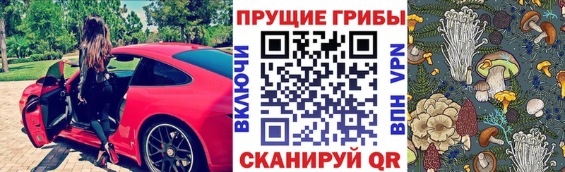 Псилоцибиновые грибы Psilocybe  Никольское 